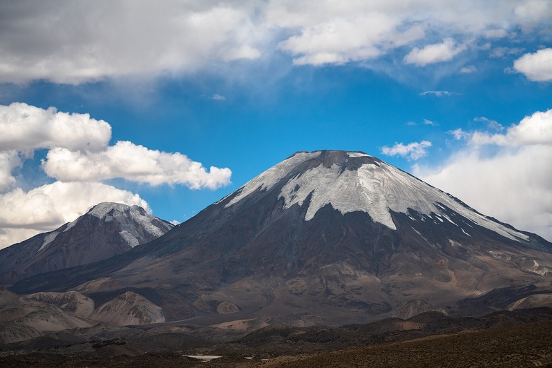 Birding the North of Chile & the Altiplano - 5 days