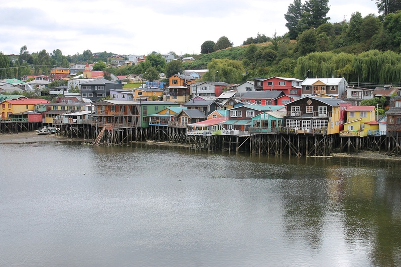Wildlife of Chiloé & the Lake District - 5 days